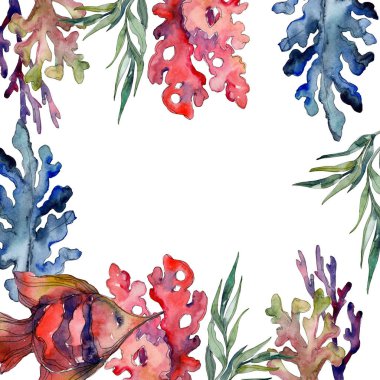 Kırmızı ve mavi su sualtı doğa mercan kayalığı. Suluboya arka plan ayarlamak. Çerçeve kenarlığı süsleme Meydanı.