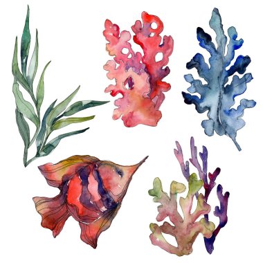 Kırmızı ve mavi su sualtı doğa mercan kayalığı izole öğesi. Suluboya arka plan illüstrasyon seti.