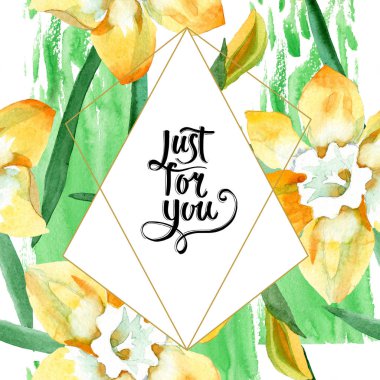 Sarı nergis botanik çiçek. Suluboya arka plan illüstrasyon küme. Çerçeve kenarlığı süsleme Meydanı.