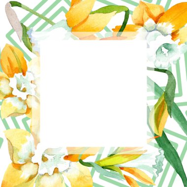 Sarı nergis botanik çiçek. Suluboya arka plan illüstrasyon küme. Çerçeve kenarlığı süsleme Meydanı.