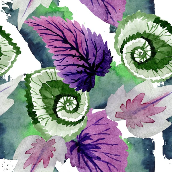 Begonia folhas verdes e roxas. Conjunto de ilustração de fundo aquarela. Padrão de fundo sem costura . — Fotografia de Stock