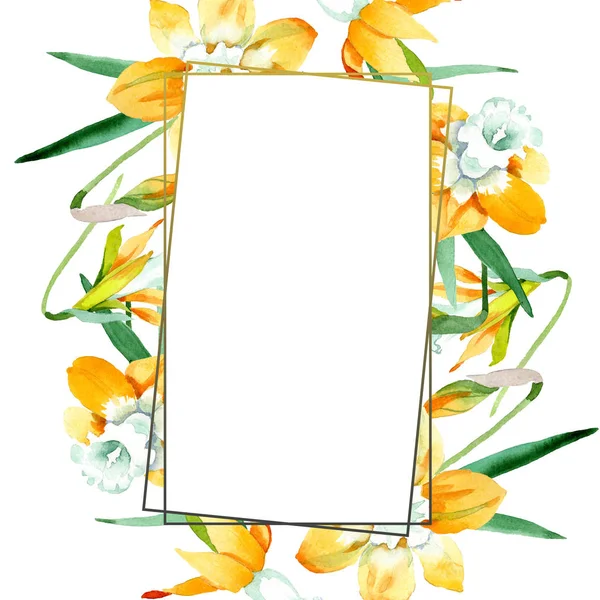 Narciso amarillo flor botánica floral. Conjunto de ilustración de fondo acuarela. Marco borde ornamento cuadrado . — Foto de Stock