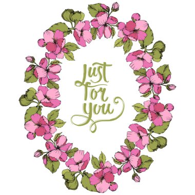 Vektör pembe elma çiçeği botanik çiçek. Oyulmuş mürekkep sanat. Çerçeve kenarlığı süsleme kare beyaz arka plan üzerinde.