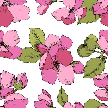 Vektör pembe elma çiçeği botanik çiçek. Oyulmuş mürekkep sanat. Sorunsuz arka plan deseni.