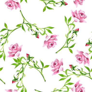 Pembe Gül süsleme botanik çiçek. Suluboya arka plan illüstrasyon küme. Sorunsuz arka plan deseni.