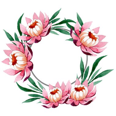 Pembe lotus süsleme botanik çiçek. Suluboya arka plan illüstrasyon küme. Çerçeve kenarlığı süsleme Meydanı.