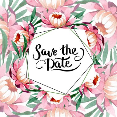 Pembe lotus süsleme botanik çiçek. Suluboya arka plan illüstrasyon küme. Çerçeve kenarlığı süsleme Meydanı.