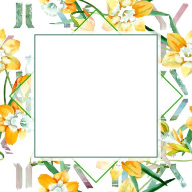 Sarı nergis botanik çiçek. Suluboya arka plan illüstrasyon küme. Çerçeve kenarlığı süsleme Meydanı.