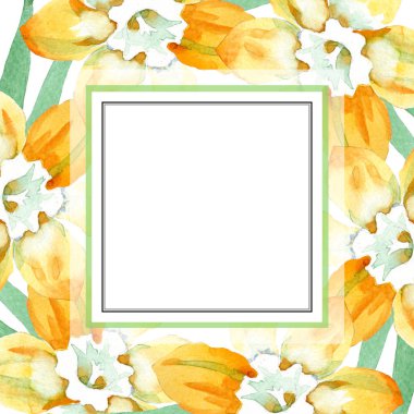 Sarı nergis botanik çiçek. Suluboya arka plan illüstrasyon küme. Çerçeve kenarlığı süsleme Meydanı.