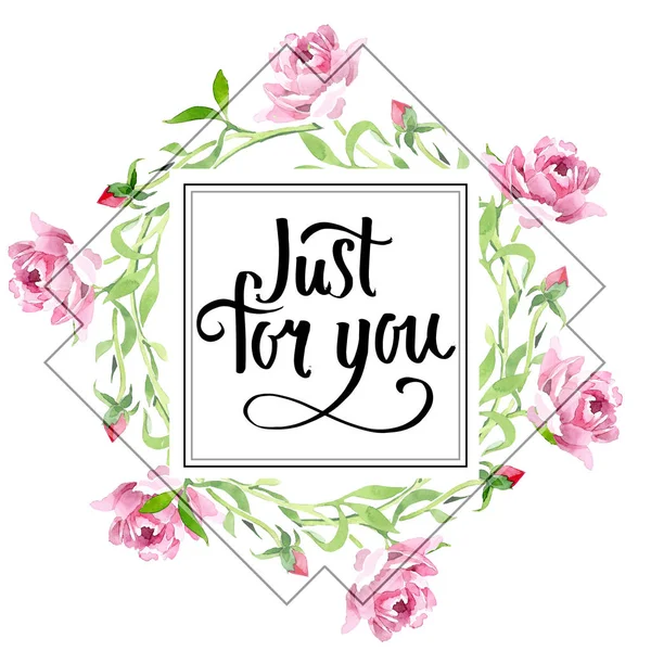 Pembe Gül süsleme botanik çiçek. Suluboya arka plan illüstrasyon küme. Çerçeve kenarlığı süsleme Meydanı.