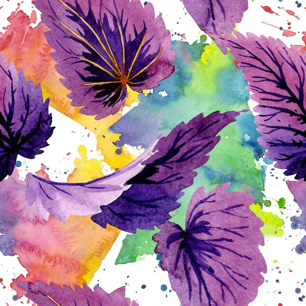 Feuilles begonia vertes et violettes. Ensemble d'illustration de fond aquarelle. Modèle de fond sans couture . — Photo