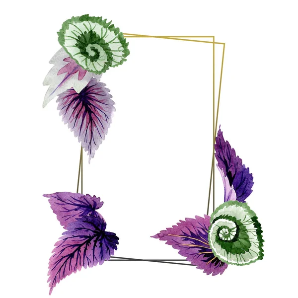 Begonia groene en paarse bladeren. Aquarel achtergrond afbeelding instellen. Frame grens ornament vierkant. — Stockfoto