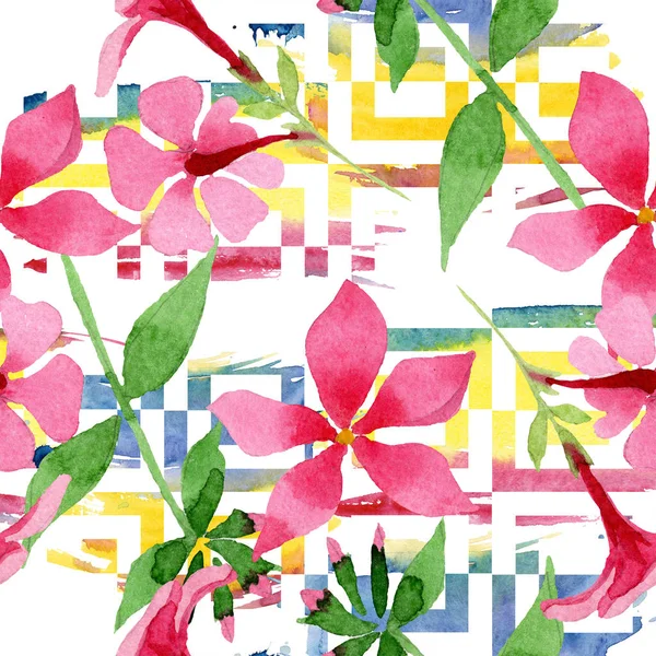 Рожева флокса для ботанічної квітки. Набір ілюстрацій для акварельного фону. Безшовний візерунок тла . — стокове фото