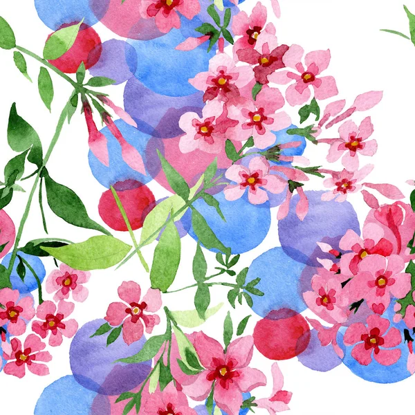 Roze phlox foral botanische bloem. Aquarel achtergrond afbeelding instellen. Naadloze achtergrondpatroon. — Stockfoto