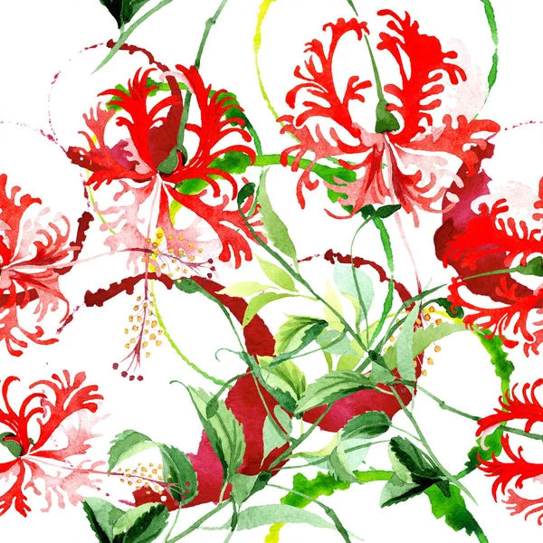 붉은 히 비 스커 스 chizopelatus 꽃 식물 꽃입니다. 수채화 배경 그림 설정 합니다. 원활한 배경 패턴. — 스톡 사진