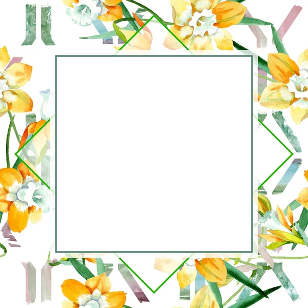 Sarı nergis botanik çiçek. Suluboya arka plan illüstrasyon küme. Çerçeve kenarlığı süsleme Meydanı.