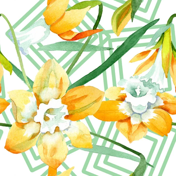 Narciso amarillo flor botánica floral. Conjunto de ilustración de fondo acuarela. Patrón de fondo sin costuras — Foto de Stock