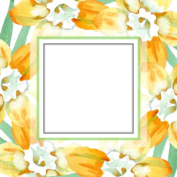 Sarı nergis botanik çiçek. Suluboya arka plan illüstrasyon küme. Çerçeve kenarlığı süsleme Meydanı.
