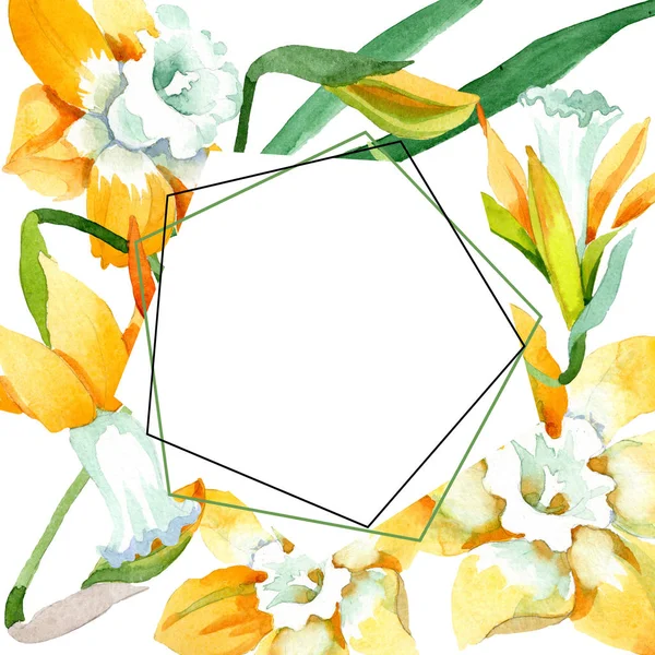 Gelber Narziss, botanische Blüte. Aquarell Hintergrundillustration Set. Rahmen Rand Ornament Quadrat. — Stockfoto