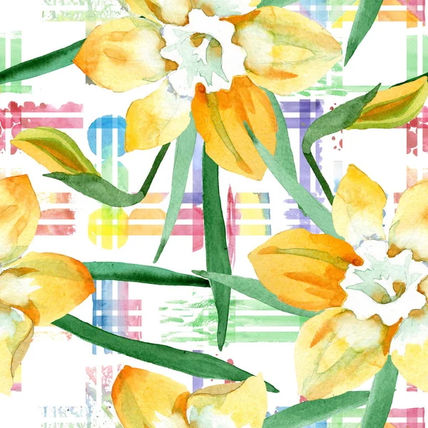 Sarı nergis botanik çiçek. Suluboya arka plan illüstrasyon küme. Sorunsuz arka plan deseni — Stok fotoğraf