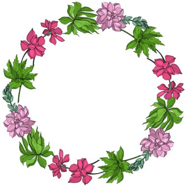 Vektör orman botanik etli çiçek. Mürekkep sanat illüstrasyon kazınmış. Çerçeve kenarlığı süsleme Meydanı.