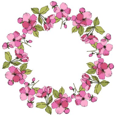 Vektör pembe elma çiçeği botanik çiçek. Vahşi bahar yaprak izole. Oyulmuş mürekkep sanat. Çerçeve kenarlığı süsleme kare beyaz arka plan üzerinde.