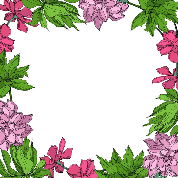 Vektör orman botanik etli çiçek. Mürekkep sanat illüstrasyon kazınmış. Çerçeve kenarlığı süsleme Meydanı.