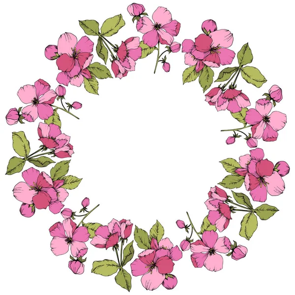 Vektör pembe elma çiçeği botanik çiçek. Vahşi bahar yaprak izole. Oyulmuş mürekkep sanat. Çerçeve kenarlığı süsleme kare beyaz arka plan üzerinde.