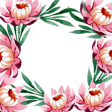 Pembe lotus süsleme botanik çiçek. Suluboya arka plan illüstrasyon küme. Çerçeve kenarlığı süsleme Meydanı.