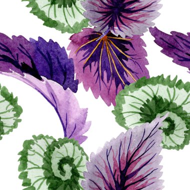 Begonya yaprakları yeşil ve mor. Suluboya arka plan illüstrasyon küme. Sorunsuz arka plan deseni.