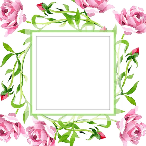 Rosa rosa ornamento flor botânica floral. Conjunto de ilustração de fundo aquarela. Quadro borda ornamento quadrado . — Fotografia de Stock