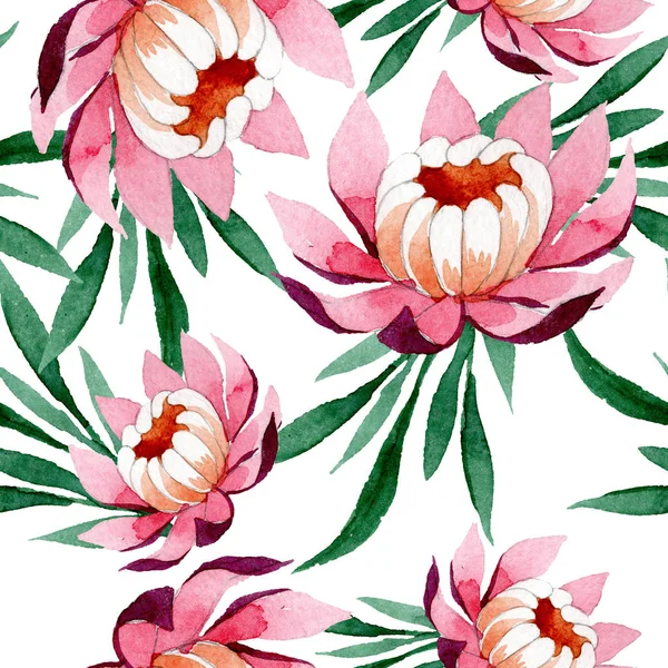 Adorno de loto rosa flor botánica floral. Conjunto de ilustración de fondo acuarela. Patrón de fondo sin costuras . — Foto de Stock