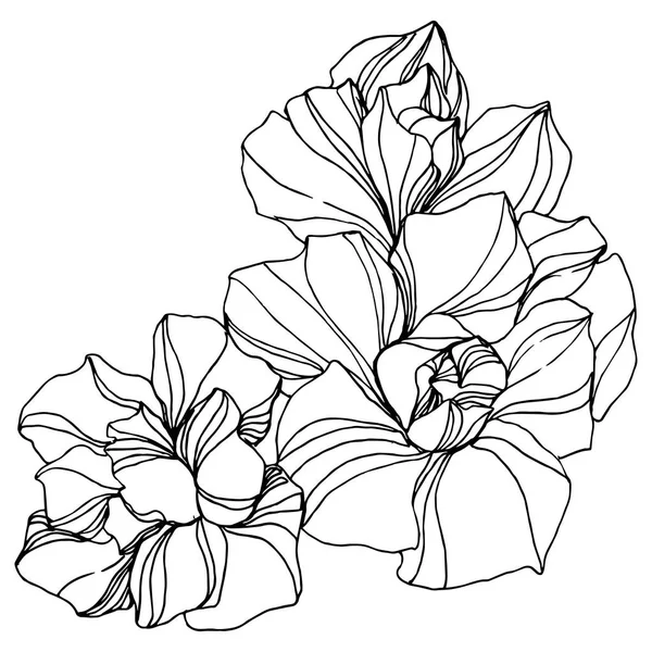 Flor suculenta botánica de la selva vectorial. Tinta grabada en blanco y negro. Elemento ilustrativo de suculentas aisladas . — Vector de stock