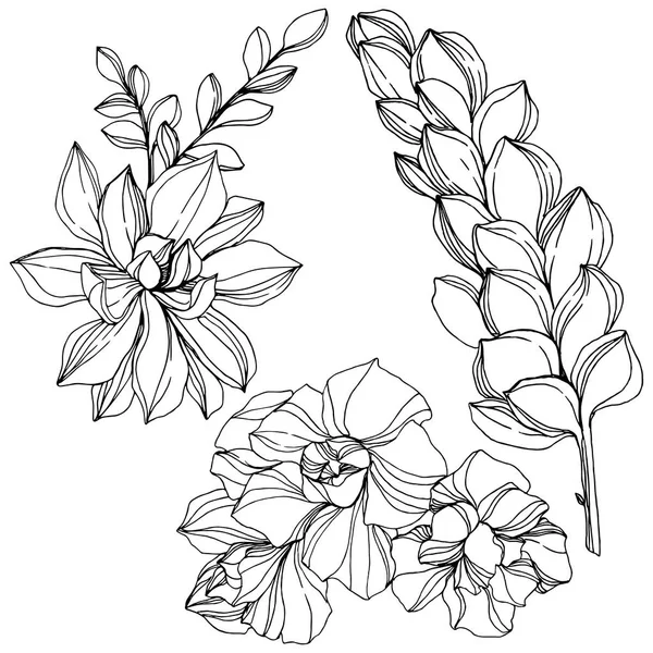 Vector Selva botânica flor suculenta. Tinta gravada a preto e branco. Isolado suculentas ilustração elemento . — Vetor de Stock