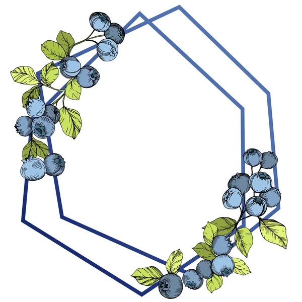 벡터 블루베리 파란색과 녹색 잉크 아트를 새겨져 있다. 딸기 그리고 녹색 잎입니다. 프레임 테두리 크리스탈 장식 스퀘어. — 스톡 벡터