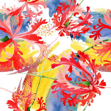 Kırmızı hibiscus chizopelatus botanik çiçek. Suluboya arka plan illüstrasyon küme. Sorunsuz arka plan deseni.