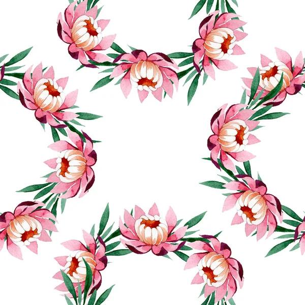 Teratai merah muda ornamen bunga botani. Set ilustrasi latar belakang cat air. Pola latar belakang mulus . — Stok Foto