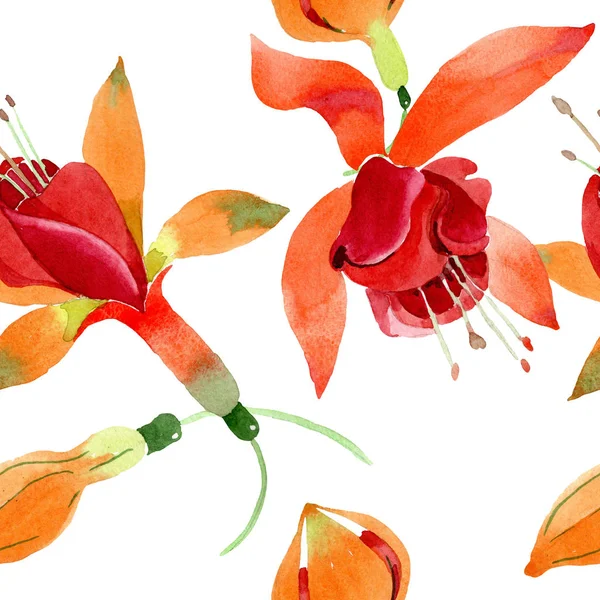 Kırmızı turuncu fuşya botanik çiçek. Suluboya arka plan illüstrasyon küme. Sorunsuz arka plan deseni.