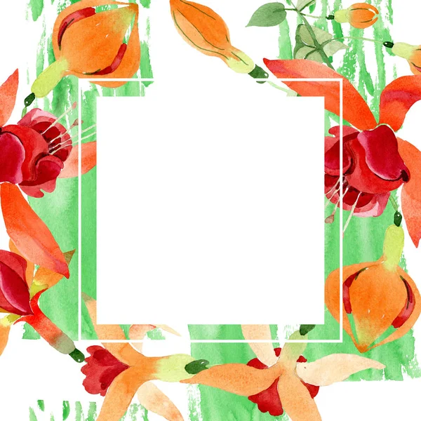 Rode oranje fuchsia bloemen botanische bloem. Aquarel achtergrond afbeelding instellen. Frame grens ornament vierkant. — Stockfoto