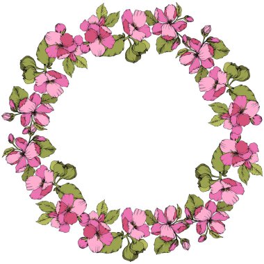 Vektör pembe elma çiçeği botanik çiçek. Oyulmuş mürekkep sanat. Çerçeve kenarlığı süsleme kare beyaz arka plan üzerinde.