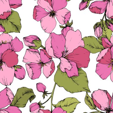 Vektör pembe elma çiçeği botanik çiçek. Oyulmuş mürekkep sanat. Sorunsuz arka plan deseni.