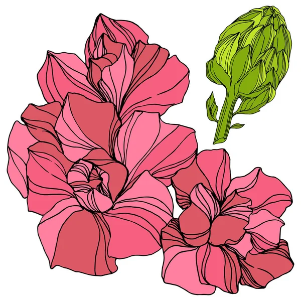 벡터 정글 식물 즙이 많은 꽃. 잉크 아트 그림을 새겨. 절연된 succulents 그림 요소. — 스톡 벡터