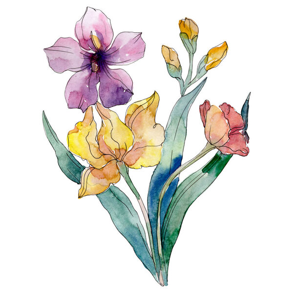 Yellow iris floral botanical flowers. Watercolor background illustration set. Isolated bouquet illustration element.