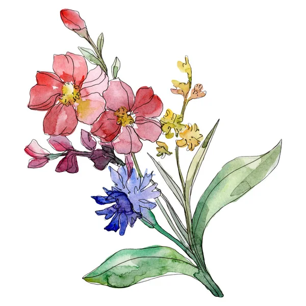 Červené a modré květinové botanické květin. Sada akvarel pozadí obrázku. Prvek ilustrace izolované kytice. — Stock fotografie