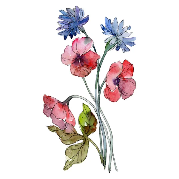 Rode en blauwe bloemen botanische bloemen. Aquarel achtergrond afbeelding instellen. Geïsoleerde boeket afbeelding element. — Stockfoto