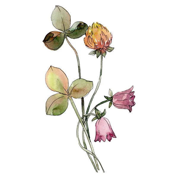 黄色のクローバーとレッドのカンパニュラ植物花。水彩画背景セット。孤立した花の図要素. — ストック写真