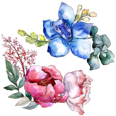 Şakayık buketleri botanik çiçek. Suluboya arka plan ayarlamak. İzole buket illüstrasyon öğesi.