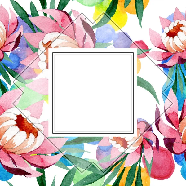 Rosa prydnad blommig botaniska lotusblomma. Akvarell bakgrund illustration set. Ram gränsen prydnad square. — Stockfoto