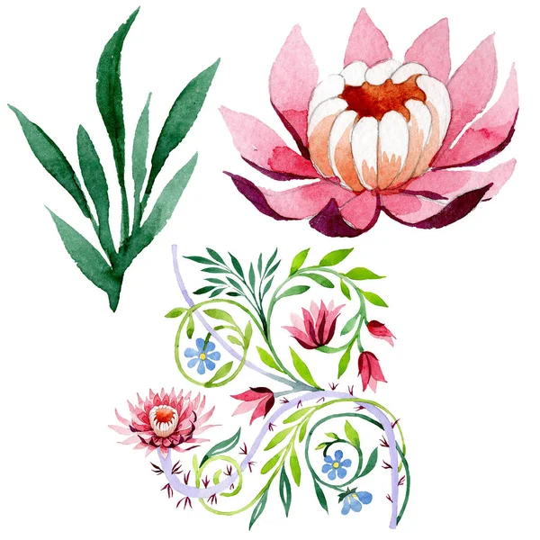 핑크 로터스 장식 꽃 식물 꽃입니다. 수채화 배경 세트입니다. 격리 된 로터스 그림 요소. — 스톡 사진