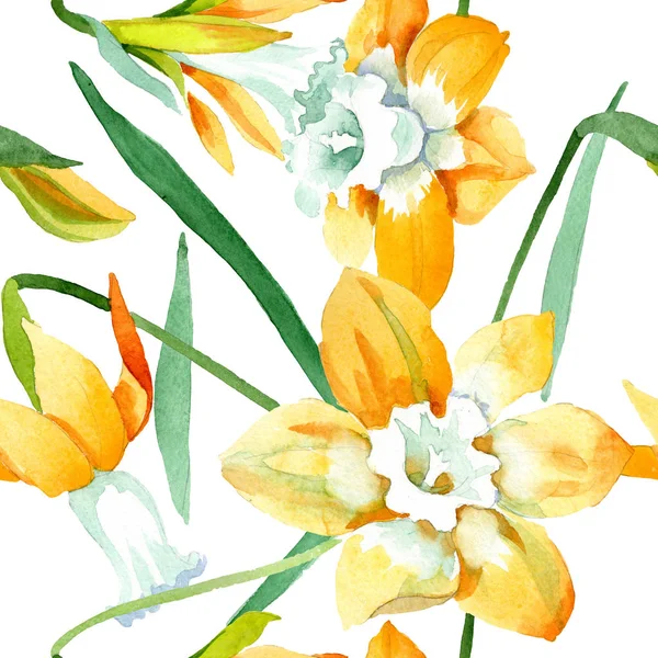 Flor botânica floral narciso amarelo. Conjunto de ilustração de fundo aquarela. Padrão de fundo sem costura — Fotografia de Stock